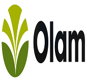 Olam